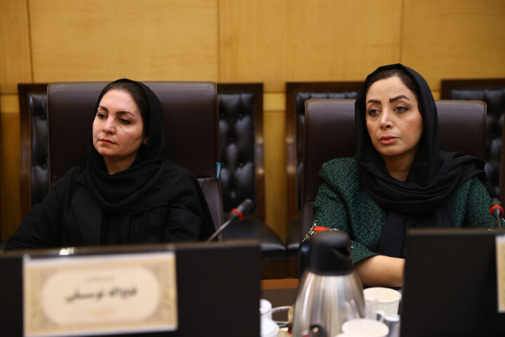 نشست مشترک کمیسیون اقتصادی و فراکسیون بانوان با بانوان فعال در حوزه اقتصاد و تولید