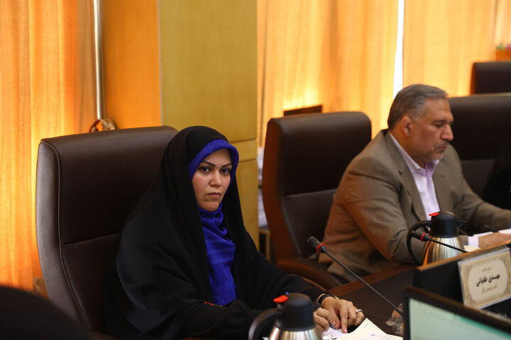 نشست مشترک کمیسیون اقتصادی و فراکسیون بانوان با بانوان فعال در حوزه اقتصاد و تولید
