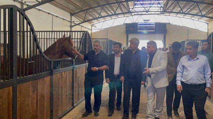 حمایت از سرمایه‌گذاران بخش خصوصی در حوزه ورزش امری ضروری است