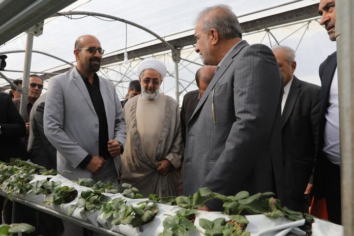 بازدید از گلخانه تولید توت فرنگی