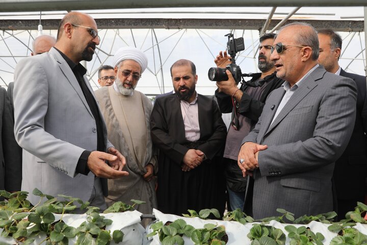 بازدید از گلخانه تولید توت فرنگی