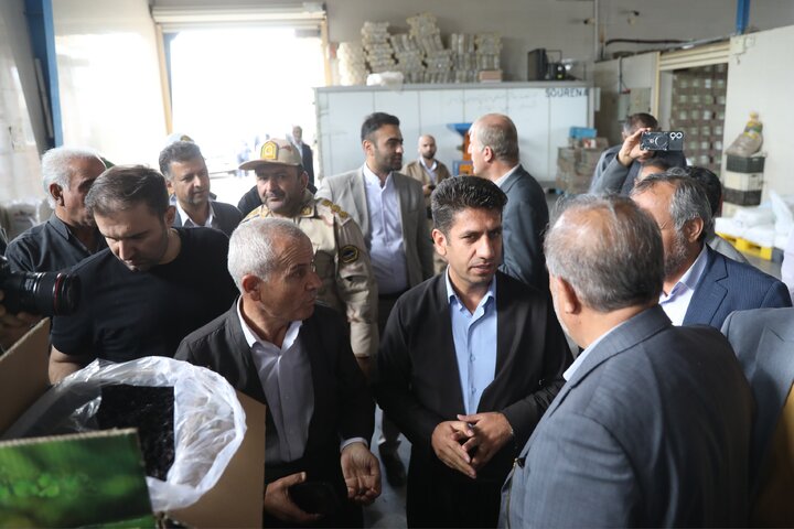 بازدید از کارخانه سورتینگ کشمش در سردشت