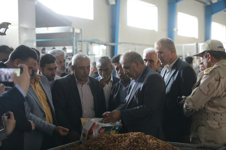 بازدید از کارخانه سورتینگ کشمش در سردشت