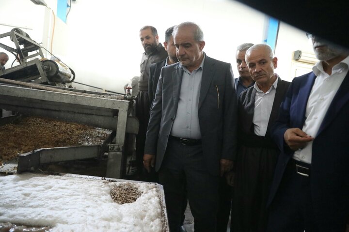 بازدید از کارخانه سورتینگ کشمش در سردشت