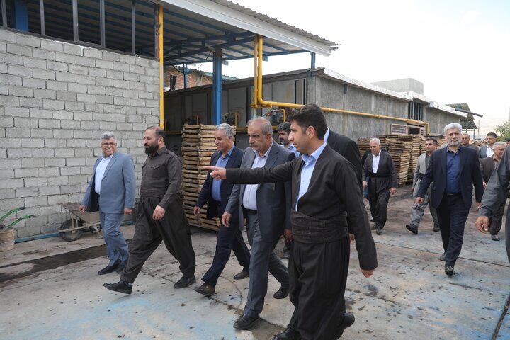 بازدید از کارخانه سورتینگ کشمش در سردشت