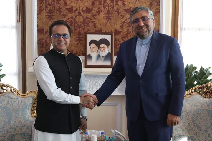 دیدار سفیر پاکستان با دستیار ویژه رئیس مجلس در امور بین الملل