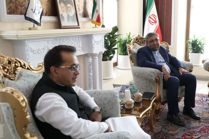 دیدار سفیر پاکستان با دستیار ویژه رئیس مجلس در امور بین الملل