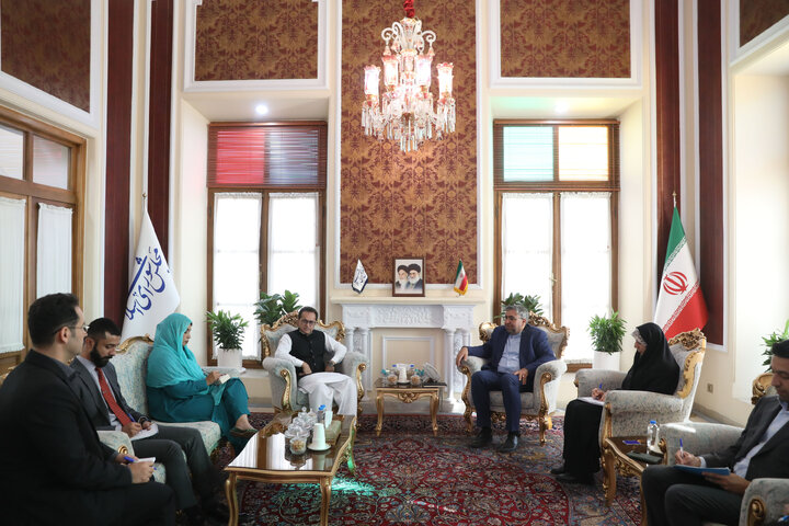 دیدار سفیر پاکستان با دستیار ویژه رئیس مجلس در امور بین الملل