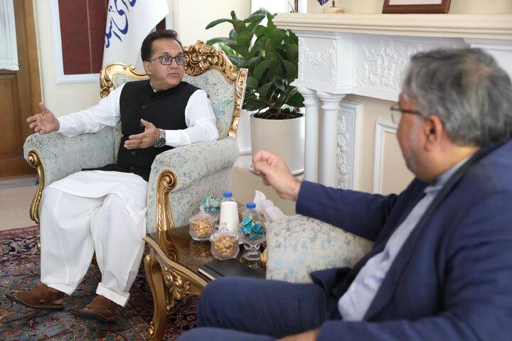 دیدار سفیر پاکستان با دستیار ویژه رئیس مجلس در امور بین الملل