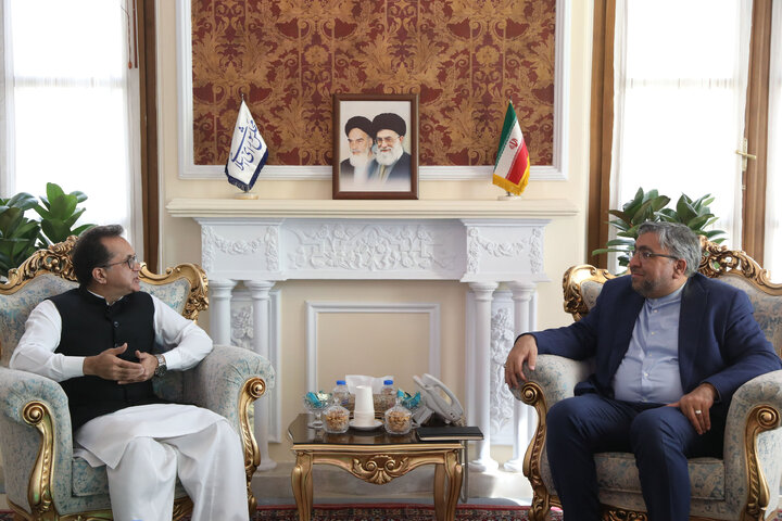 دیدار سفیر پاکستان با دستیار ویژه رئیس مجلس در امور بین الملل