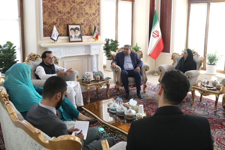 دیدار سفیر پاکستان با دستیار ویژه رئیس مجلس در امور بین الملل