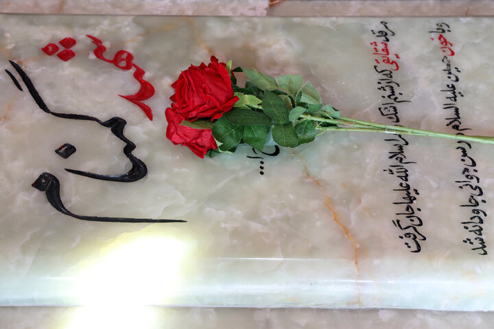 بازدید اعضای کمیسیون امنیت ملی از منطقه قلاویزان