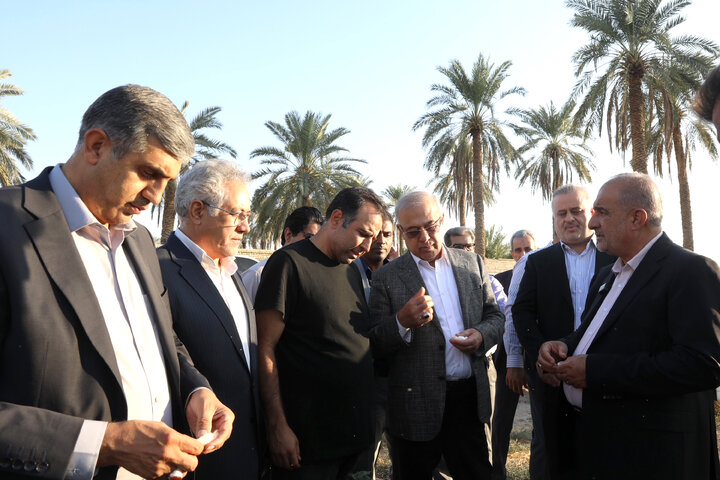 بازدید اعضا کمیسیون کشاورزی از مزرعه پنبه فرح بخش بخش حاجی آباد استان هرمزگان‎