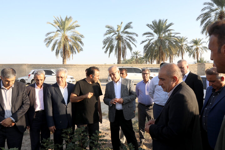بازدید اعضا کمیسیون کشاورزی از مزرعه پنبه فرح بخش بخش حاجی آباد استان هرمزگان‎