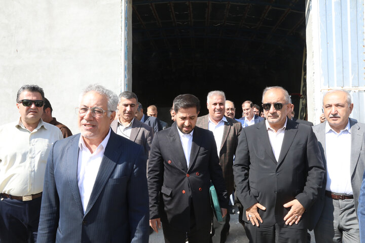 بازدید اعضای کمیسیون کشاورزی مجلس از باغات مرکبات شهر مبارک آباد