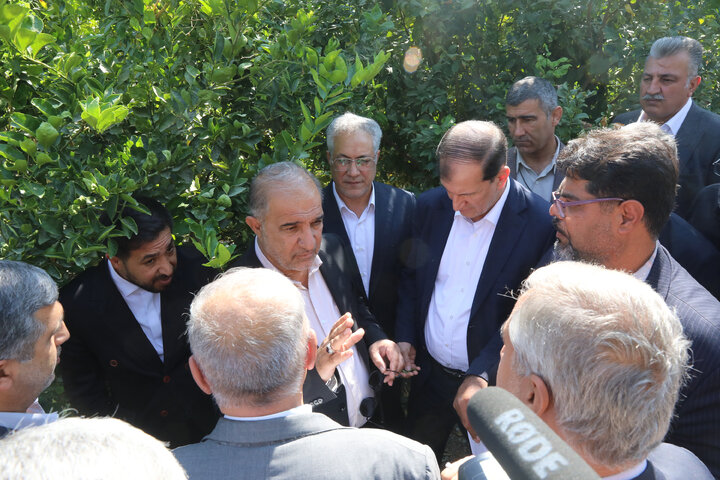 بازدید اعضای کمیسیون کشاورزی مجلس از باغات مرکبات شهر مبارک آباد