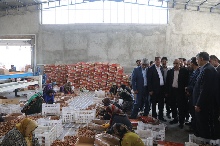 بازدید کمیسیون کشاورزی ازگروه صنایع بسته بندی و سردخانه خوش نام شهرستان قیر و کارزین