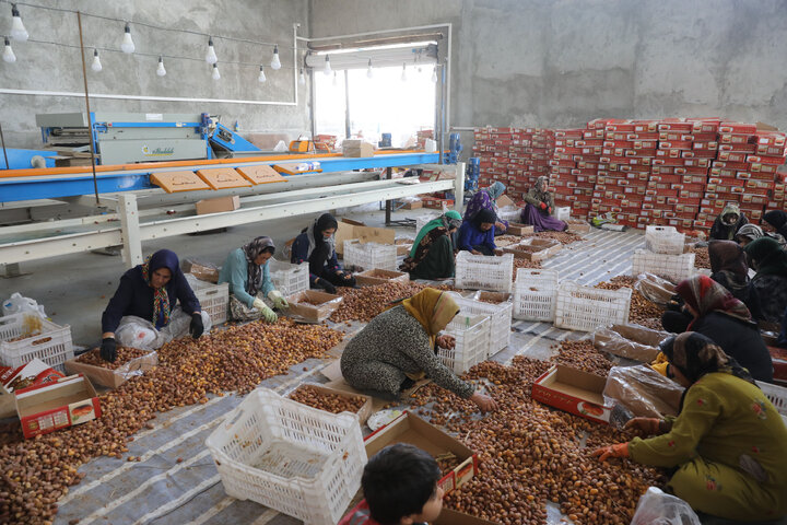 بازدید کمیسیون کشاورزی ازگروه صنایع بسته بندی و سردخانه خوش نام شهرستان قیر و کارزین