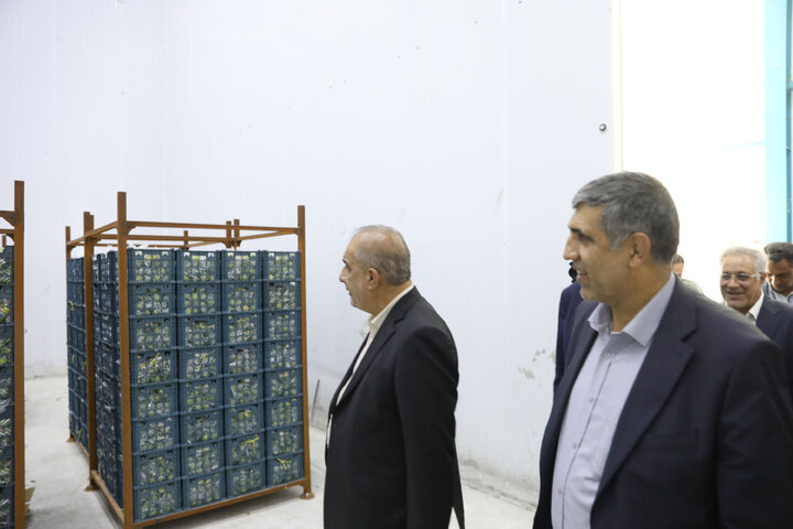 بازدید کمیسیون کشاورزی ازگروه صنایع بسته بندی و سردخانه خوش نام شهرستان قیر و کارزین