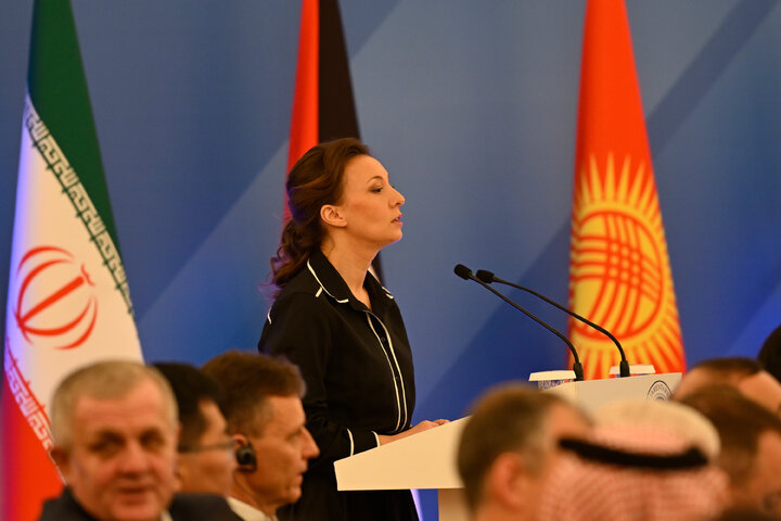 افتتاحیه نشست کمیته دائمی امور فرهنگی و اجتماعی