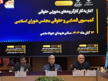 کارگروه‌های مشورتی حقوقی با نقش آفرینی وزارت علوم و کمیسیون قضایی مجلس آغاز به‌کار کرد