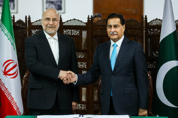 دیدار رؤسای مجالس ایران و پاکستان - اسلام‌آباد