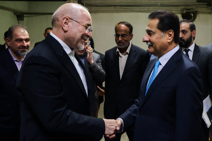 دیدار رؤسای مجالس ایران و پاکستان - اسلام‌آباد