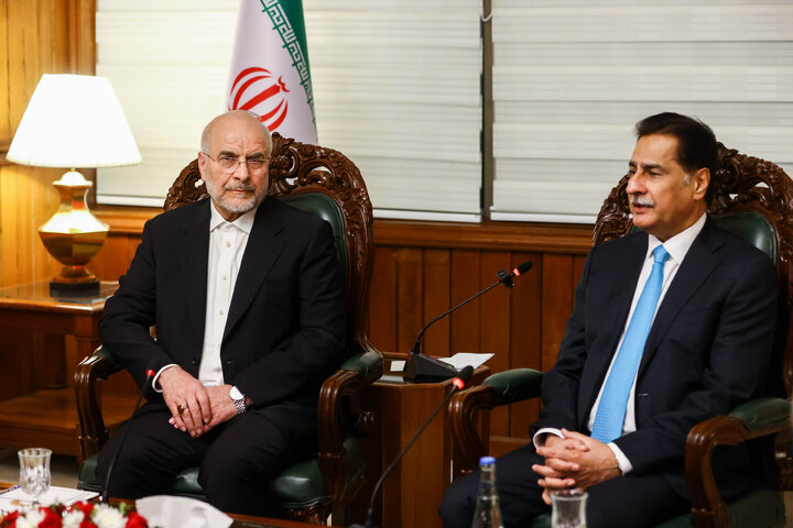 دیدار رؤسای مجالس ایران و پاکستان - اسلام‌آباد