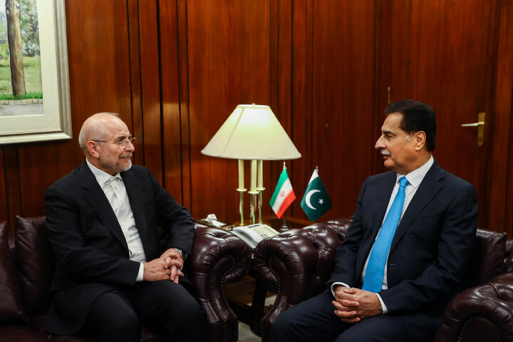 دیدار رؤسای مجالس ایران و پاکستان - اسلام‌آباد