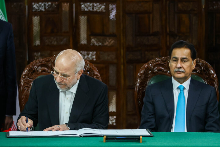 دیدار رؤسای مجالس ایران و پاکستان - اسلام‌آباد