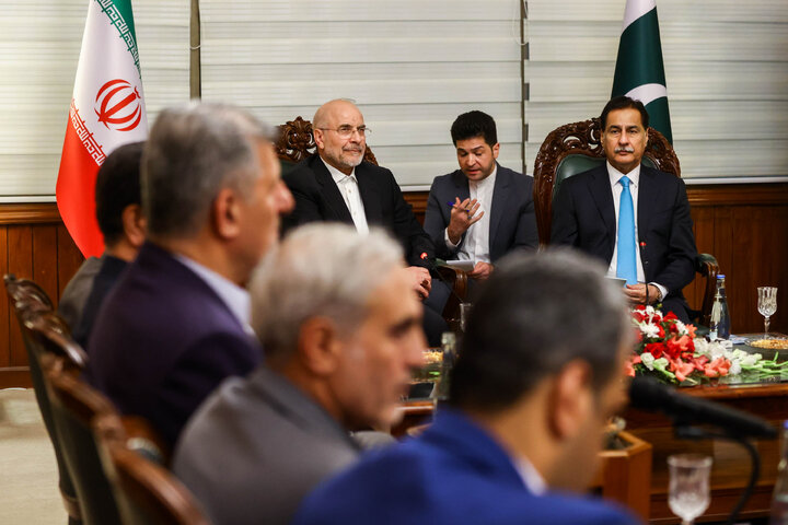 دیدار رؤسای مجالس ایران و پاکستان - اسلام‌آباد