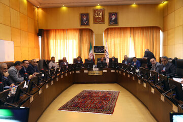 ضرورت تعیین تکلیف مالکیت «شاد»