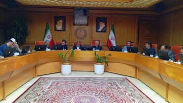 تعامل خوب مجلس ودولت در خصوص ساماندهی اتباع