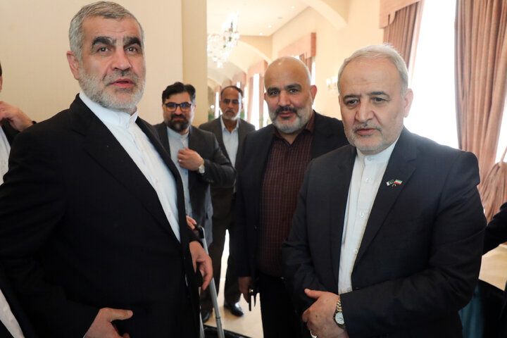 ورود نیکزاد به پاکستان