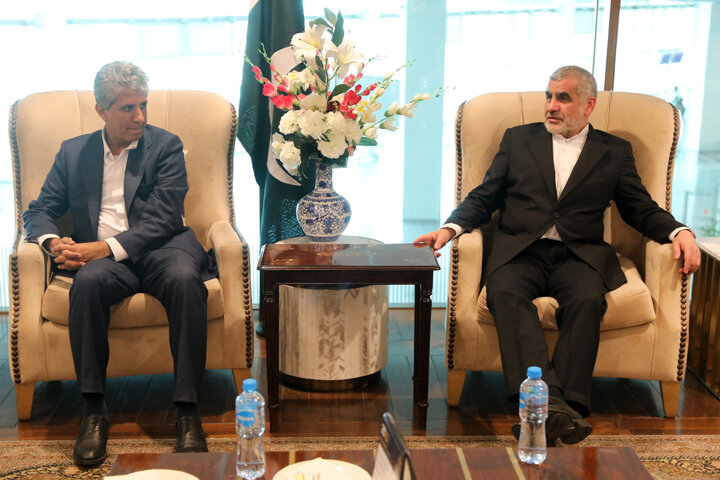 ورود نیکزاد به پاکستان