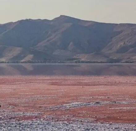 مشکلات زیست‌محیطی دریاچه مهارلو پیگیری شد