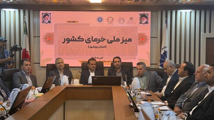 راهکارهای عملیاتی برای رفع چالش‌های صنعت خرما بررسی شد