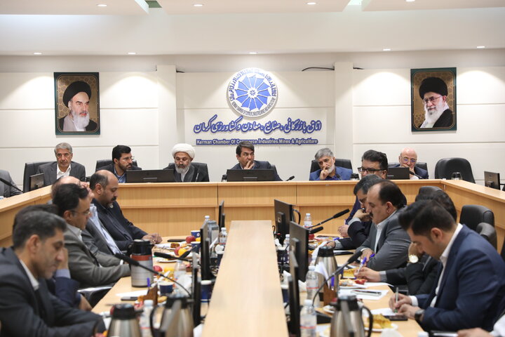 نشست مشترک اعضا کمیسیون اصل نود با فعالین اقتصادی استان کرمان