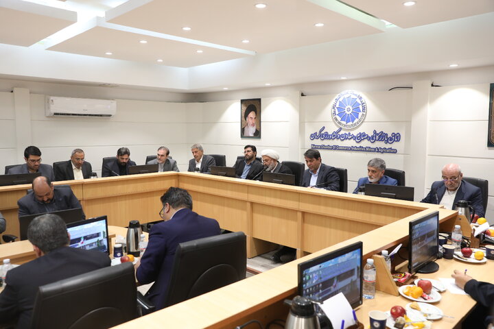 نشست مشترک اعضا کمیسیون اصل نود با فعالین اقتصادی استان کرمان