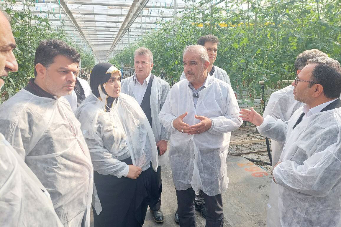بازدید کمیسیون کشاورزی از گلخانه کشت و صنعت ماهوردشت