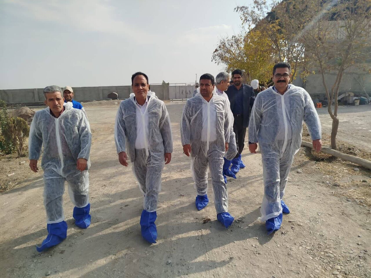 واکسیناسیون رایگان دامهای شهرستانهای حوزه انتخابیه آغاز شد / بر سر منافع دامداران با هیچکس تعارف نداریم