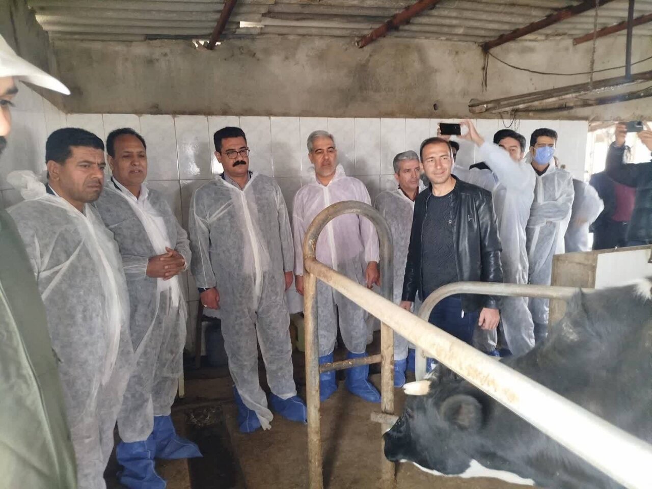 واکسیناسیون رایگان دام‌های شهرستان‌های حوزه انتخابیه آغاز شد / بر سر منافع دامداران با هیچ‌کس تعارف نداریم