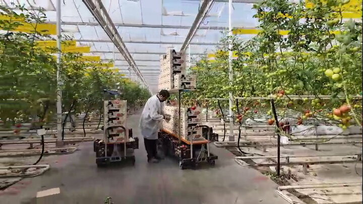 سفر نظارتی کمیسیون کشاورزی به شهرستان خرم‌آباد