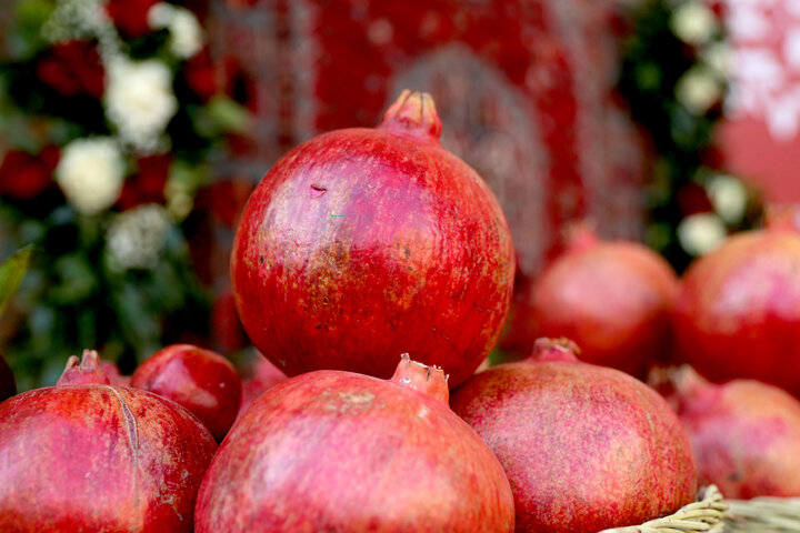 حضور و سخنرانی رییس کمیسیون_ کشاورزی در چهارمین جشنواره م ملی انار ساوه