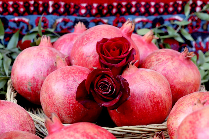 حضور و سخنرانی رییس کمیسیون_ کشاورزی در چهارمین جشنواره م ملی انار ساوه