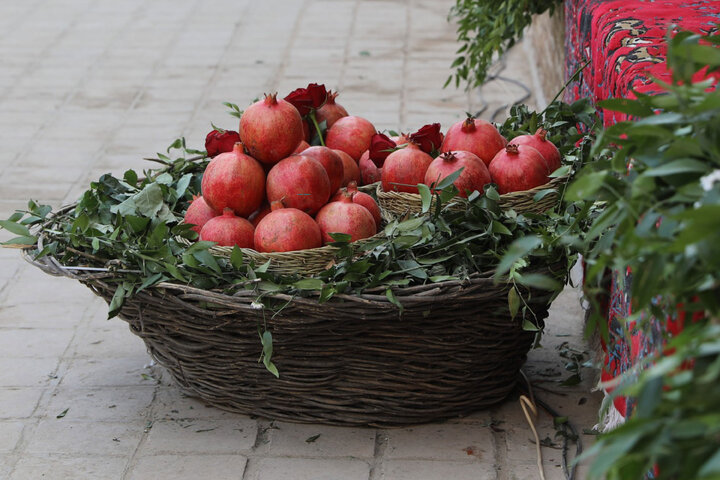 حضور و سخنرانی رییس کمیسیون_ کشاورزی در چهارمین جشنواره م ملی انار ساوه