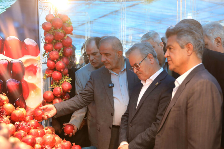 حضور در افتتاحییه چهارمین نمایشگاه جشنواره انار ساوه