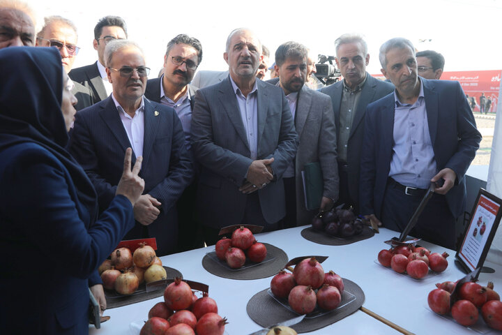 حضور در افتتاحییه چهارمین نمایشگاه جشنواره انار ساوه