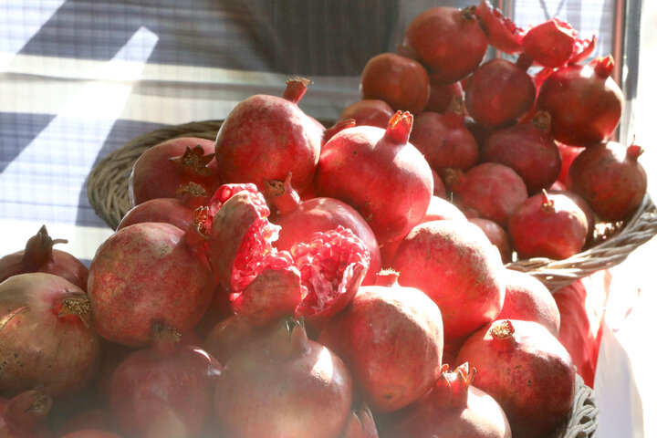 حضور در افتتاحییه چهارمین نمایشگاه جشنواره انار ساوه