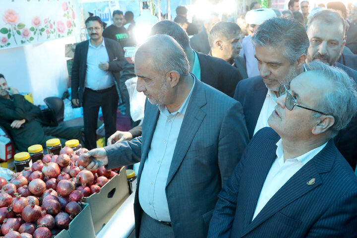 حضور در افتتاحییه چهارمین نمایشگاه جشنواره انار ساوه